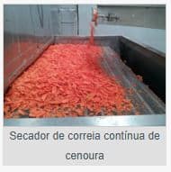 SECADOR DE CORREIA CONTINUA DE CENOURA