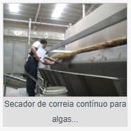 SECADOR DE CORREIA CONTINUO PARA ALGAS