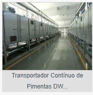 TRANSPORTADOR CONTINUO DE PIMENTAS DW